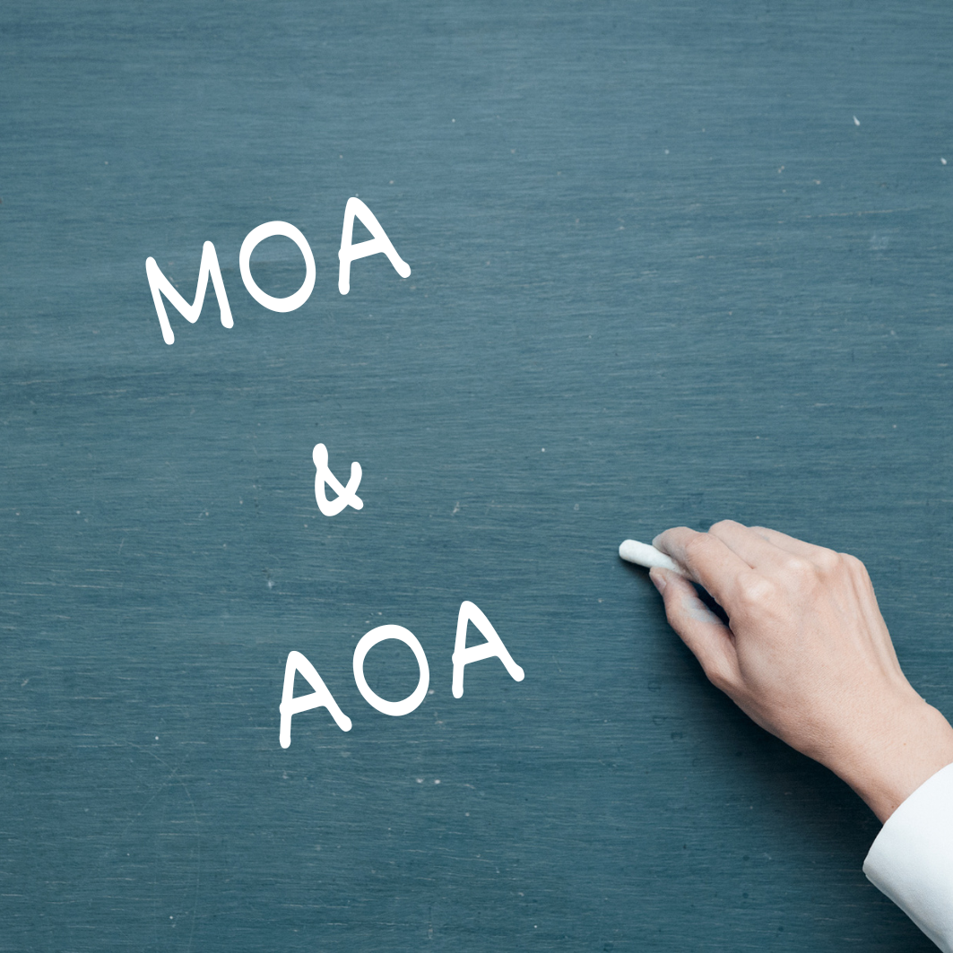 Memorandum and Article of Association of Company & related doctrines